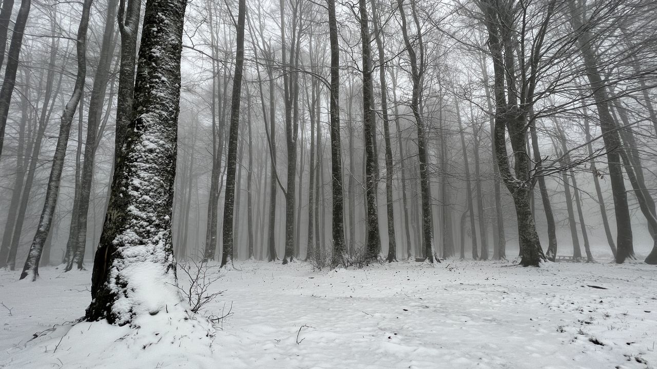 Domaniç Dağları mevsimin ilk kar yağışıyla beyaza büründü