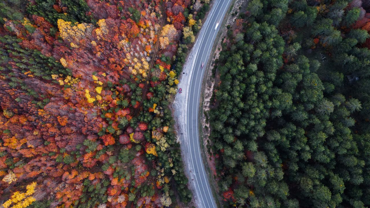 Domaniç Dağlarında rengarenk sonbahar
