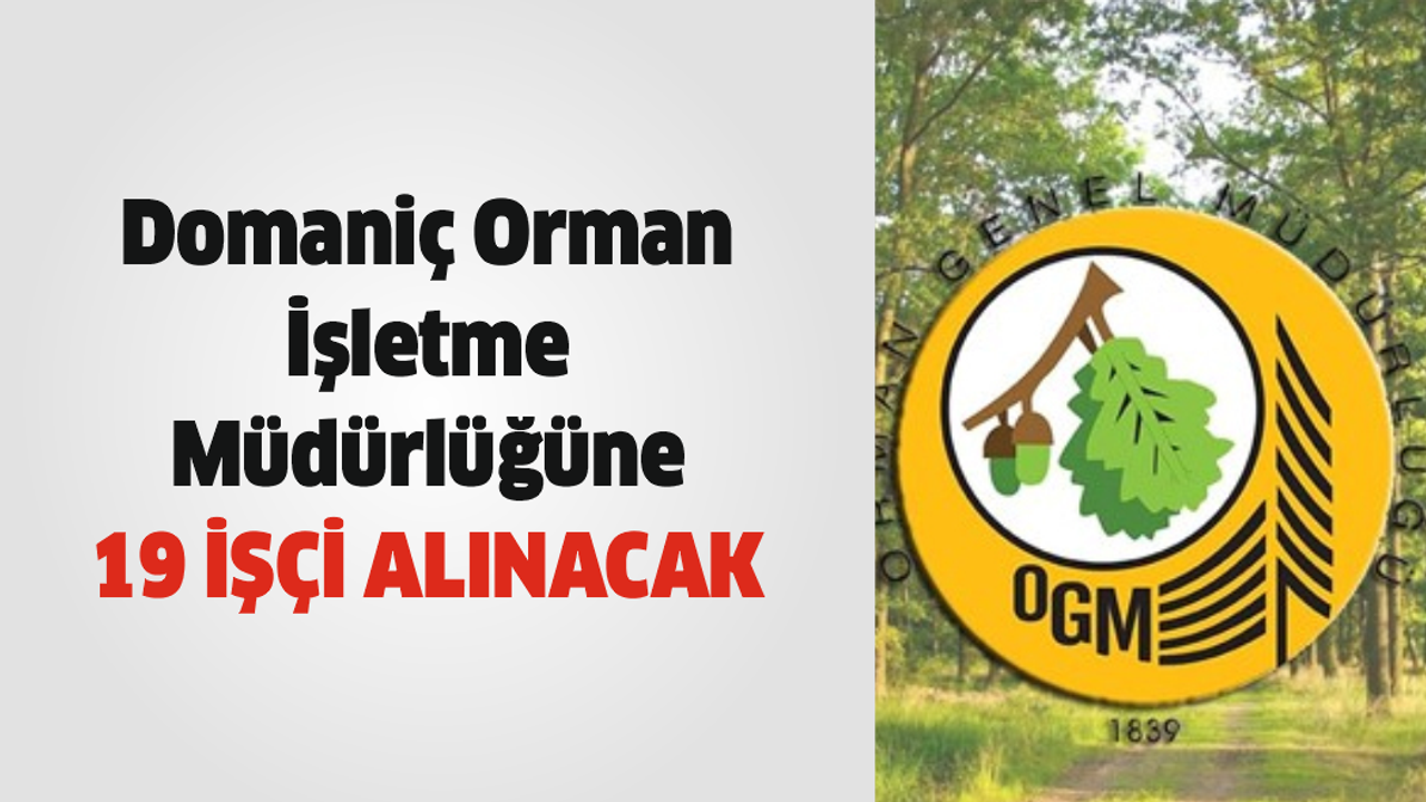 Domaniç Orman İşletme Müdürlüğüne 19 işçi alınacak