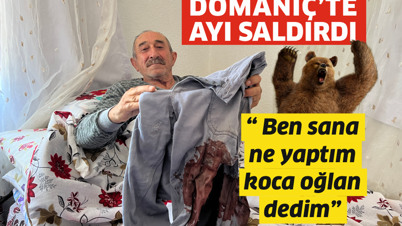 Domaniç'te ayı saldırısı sonucu yaralanan Sadık Batum, yaşadıklarını anlattı