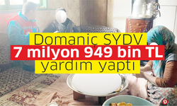 Domaniç SYDV 7 milyon 949 bin TL  yardım yaptı