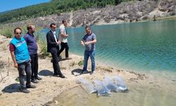 Çamlıca ve Çukurca göletlerine 102 bin sazan bırakıldı