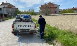 Domaniç Belediyesi yabani otlarla mücadele başlattı