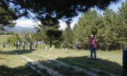 Domaniç Çokköy’de Kapsamlı Mezarlık Temizliği