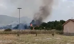 Elektrik tellerine çarpan kuş yangına neden oldu