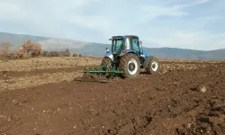 Çukurca Belediyesi Tarımda Örnek Oluyor: 40 Yıldır Ekilmeyen Araziler Ekiliyor