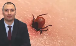 Domaniç İlçe Hastanesinden Kene Uyarısı