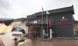 Domaniç’te Aynı Gün İki Yılan Isırığı Vakası