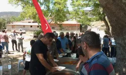 Domaniç Yolunda Kaza: 1 Kişi Yaralandı