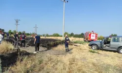 Domaniç Çukurca’da Kuş Yangına Neden Oldu