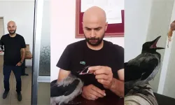 Domaniç’te Öğretmenin Şefkati Yaralı Kargayı Hayata Bağladı
