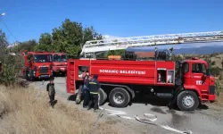 Domaniç’te İtfaiye ve Orman İşletmesi Alevlere Geçit Vermiyor