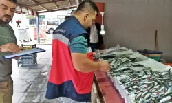 Domaniç’te Balık Pazarına Sıkı Denetim