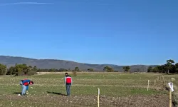 Domaniç’te Üreticiye Rehber Olacak Gözlemler Yapılıyor