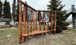 Domaniçli Habibe Gerçeği: Vatan İçin Oğlunu Vuran Anne