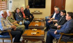 Domaniç İçin Dikkat Çeken Öneri Nafi Güral'dan Geldi