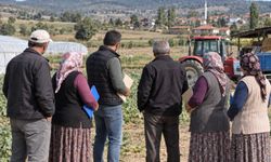 Domaniç’ten 6 Kişi Kırsal Kalkınma Hibesi Almaya Hak Kazandı