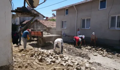 2024 Yılında Domaniç Köylerinde Gerçekleştirilen Projeler