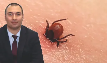 Domaniç İlçe Hastanesinden Kene Uyarısı