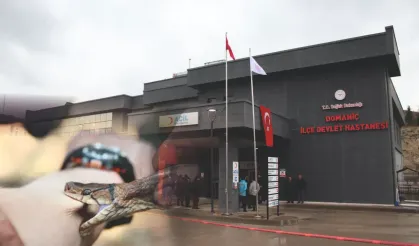 Domaniç’te Aynı Gün İki Yılan Isırığı Vakası