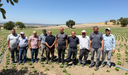 Gölette Su Var Ama Tarlada Yok! Domaniç'te Çiftçi Ciddi Zararda