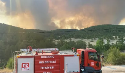 Domaniç İtfaiyesi Harmancık’taki Yangına Destek İçin Bölgede