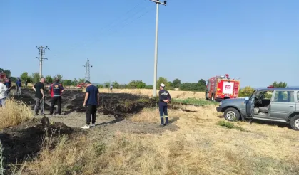 Domaniç Çukurca’da Kuş Yangına Neden Oldu