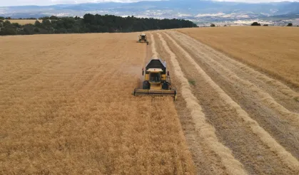 Domaniç’te 2025 Yılı Biçerdöver Ücretleri Belirlendi