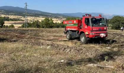 Domaniç’te Kuş Çarpması Sonucu Yangın Çıktı
