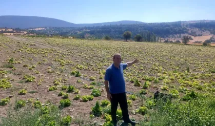 Domaniç’te Çiftçiler Mağdur; ‘Sulama Göletine Güvendik, Mağdur Olduk’