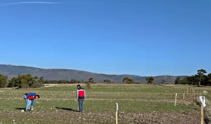 Domaniç’te Üreticiye Rehber Olacak Gözlemler Yapılıyor