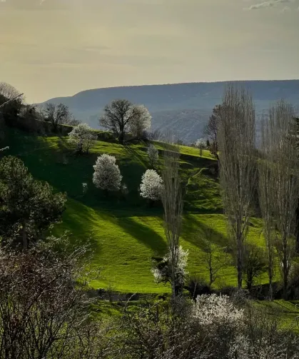 Domaniç'in en küçük köyünde ilkbaharın muhteşem görüntüleri