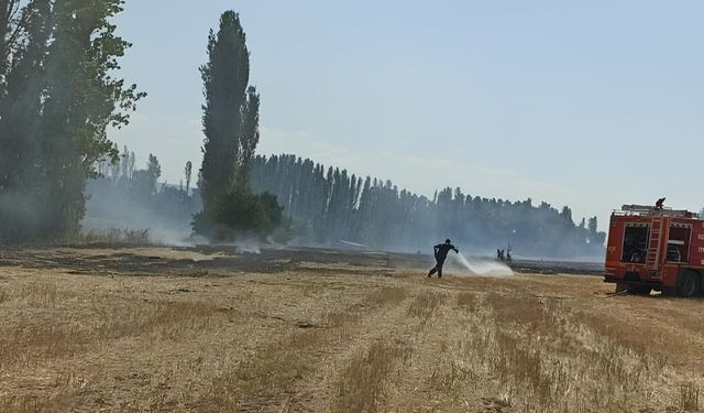Domaniç’te artan anız yangınları, dikkatleri ilçeye çevirdi!