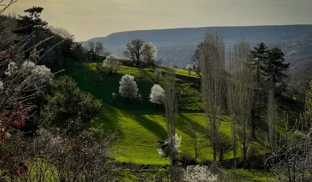 Domaniç'in en küçük köyünde ilkbaharın muhteşem görüntüleri