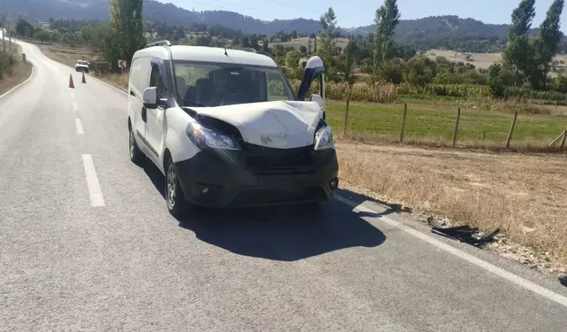 Domaniç’te Trafik Kazası: Küçükbaş Hayvana Çarptı