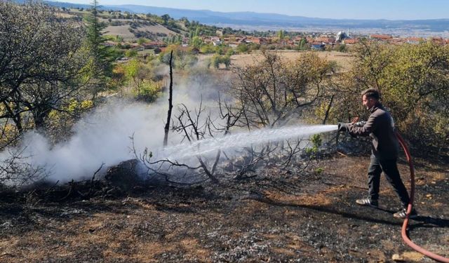 Domaniç Çukurca’da Çıkan Yangın Büyümeden Söndürüldü