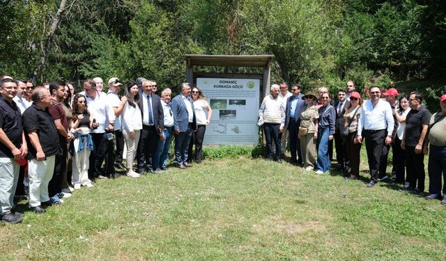 Topuk Yaylası'nda Kurbağa Göçü Gündeme Geldi