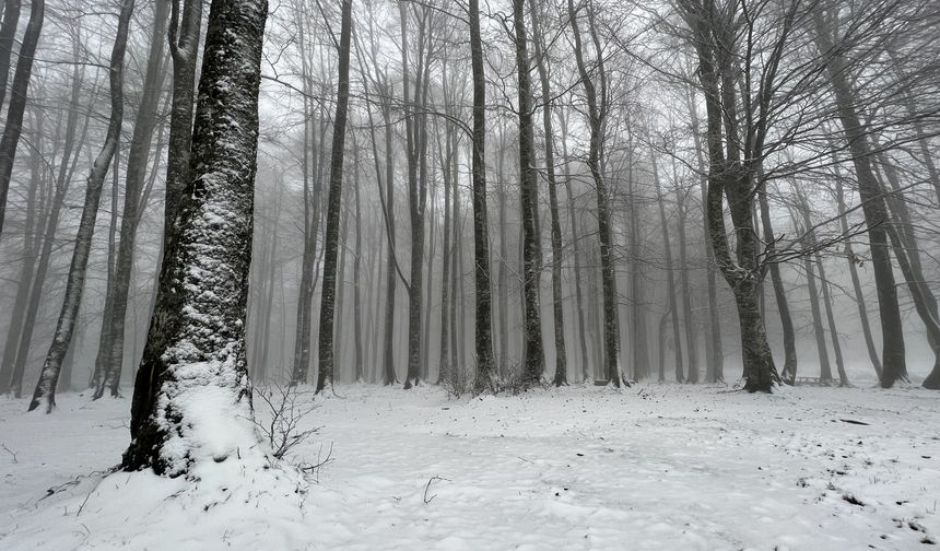 Domaniç Dağları mevsimin ilk kar yağışıyla beyaza büründü