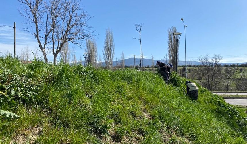 Bayram öncesi mezarlıklar ve parklar temizleniyor