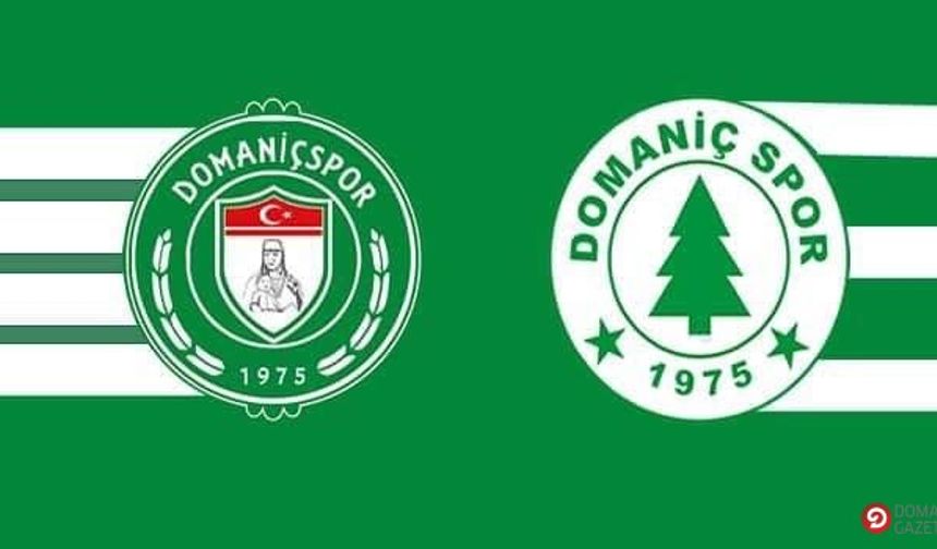 Domaniçspor 8 golle kazanarak galibiyet serisine devam dedi