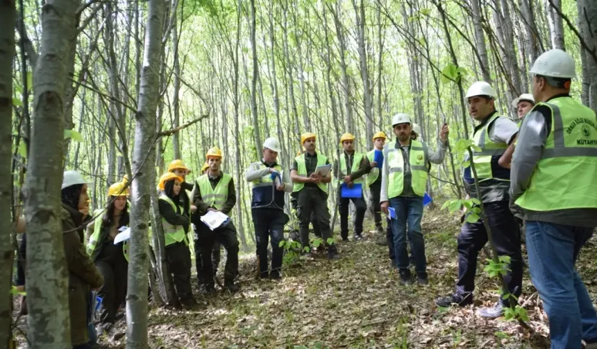 Domaniç'te ormancılara iş güvenliği tatbikatı