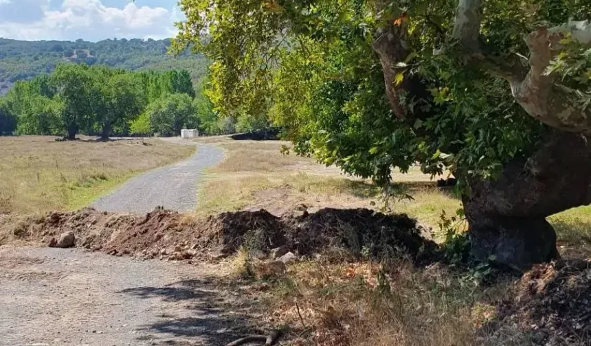 Güney Köyü Piknikçilere Kapatıldı