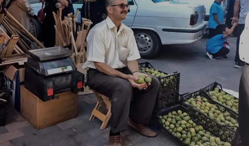 Ata Tohumundan Üretilen Dev Cevizler İlgi Odağı Oldu