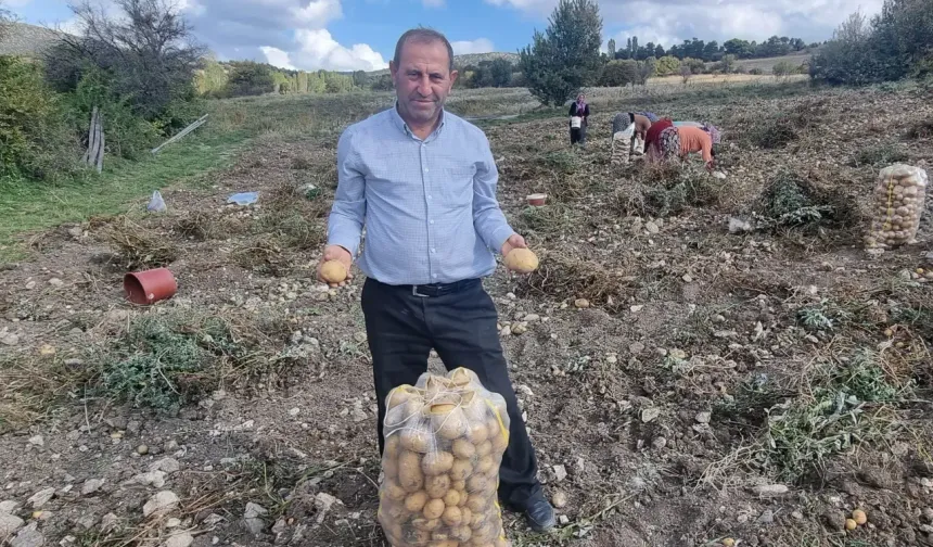 Arpa buğdaydan daha karlı