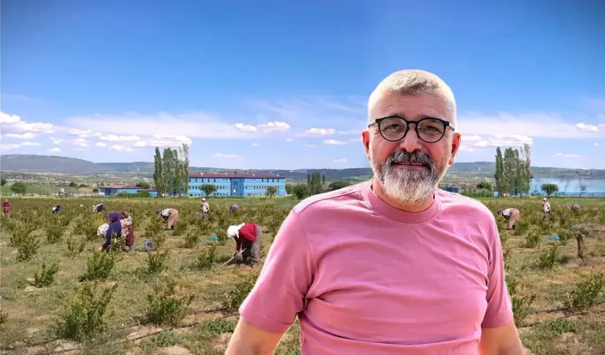 Domaniç’te Emekli Çiftçinin "Süper Meyve" Başarısı