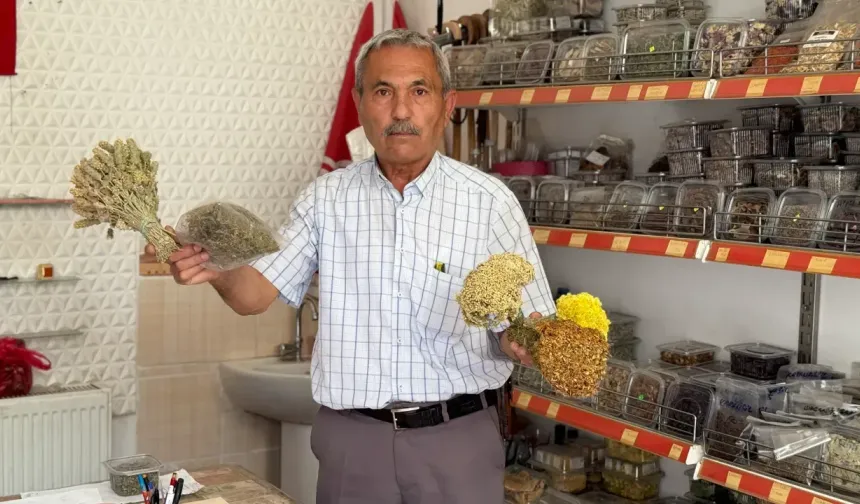 Emekli Ormancı Doğadan Topladığı Otlarla Şifa Sunuyor
