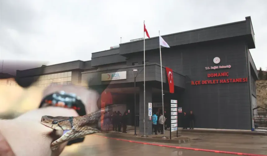 Domaniç’te Aynı Gün İki Yılan Isırığı Vakası
