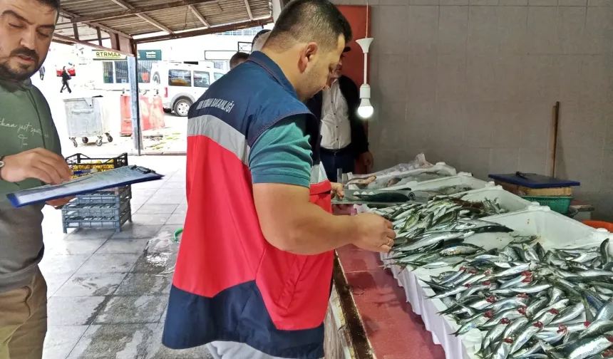 Domaniç’te Balık Pazarına Sıkı Denetim
