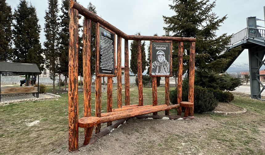 Domaniçli Habibe Gerçeği: Vatan İçin Oğlunu Vuran Anne