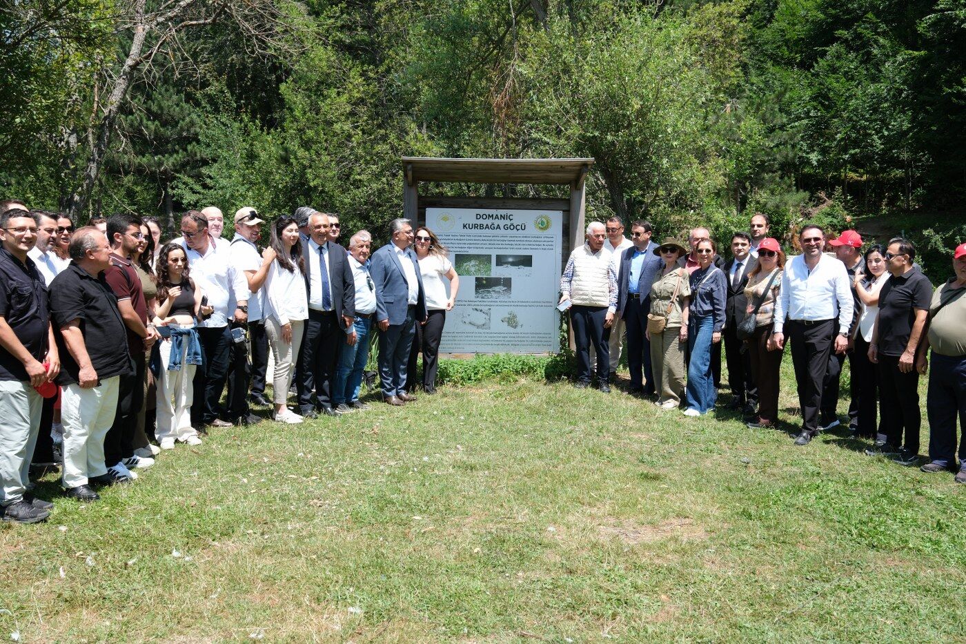 Topuk Yaylası'nda Kurbağa Göçü Gündeme Geldi